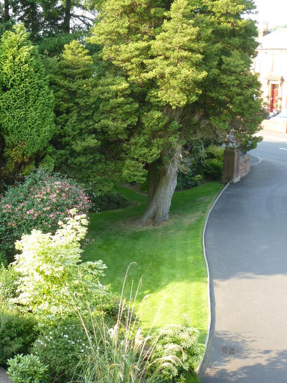 Somerton House Hotel Lockerbie Rom bilde